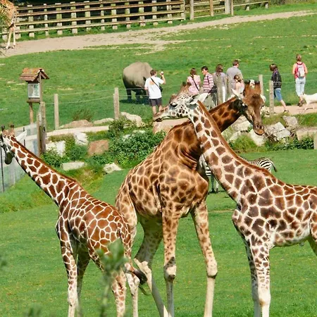 Casa vacanze Maison Atypique Centre-village Au Calme Avec Vue Sur Les Toits