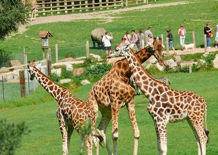 Σπίτι διακοπών Maison Atypique Centre-village Au Calme Avec Vue Sur Les Toits